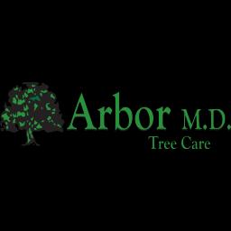 Certified tree care professionals based in Memphis, offering comprehensive services with a focus on safety and tree preservation.