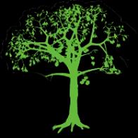 Expert tree and lawn care services in Kansas City since 2006, combining quality work with competitive pricing.