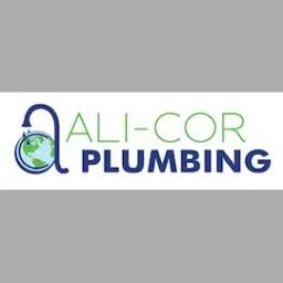 Family-owned plumbing service in Chesapeake, VA, offering reliable residential and commercial plumbing solutions with 20+ years of experience.